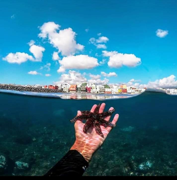 فيلا Seaview Pozo Izquierdo المظهر الخارجي الصورة