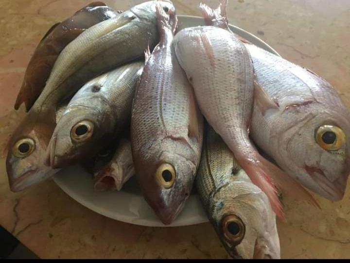 فيلا Seaview Pozo Izquierdo المظهر الخارجي الصورة